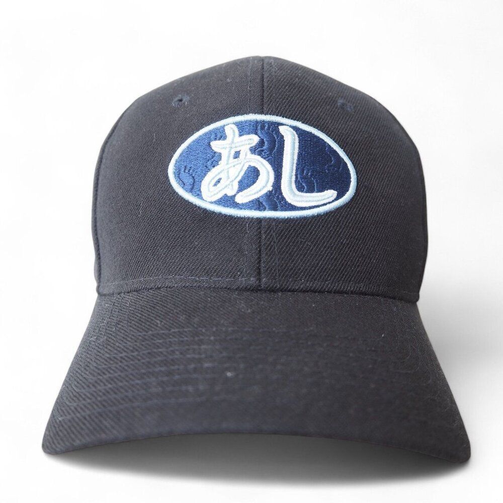 Zephyr Kanji Japanese Carolina Tar Heels Vintage Lids Exclusive Fitted Hat 7